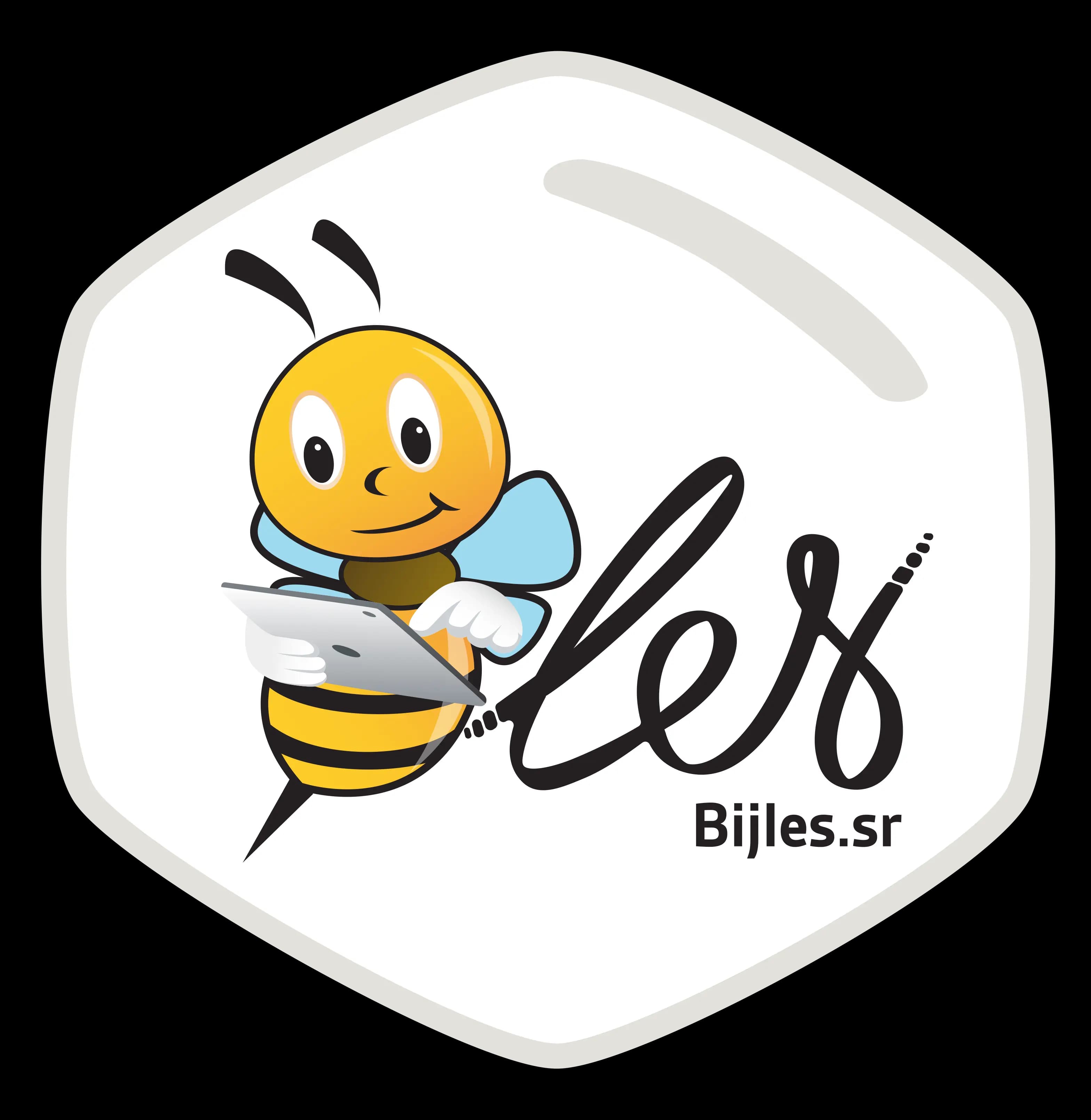 Bijles SR Logo